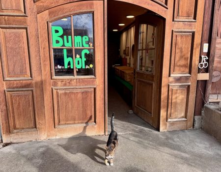 Einblick in den Hofladen